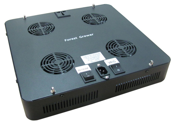 City Growing DIY 300w Led Grow Light Vertical Farming Plants Propagation Vegetative Bloom