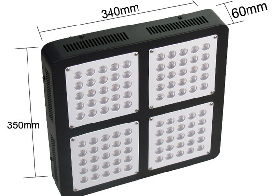 City Growing DIY 300w Led Grow Light Vertical Farming Plants Propagation Vegetative Bloom