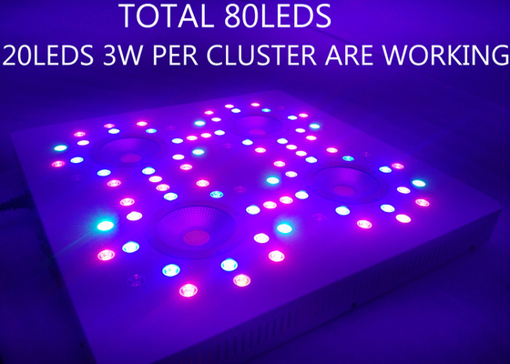 Full Spectrum Cannabis Cob Grow Light AC 85 - 265 V Indoor Hydroponic Plants Grow Tent