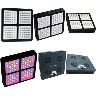 City Growing DIY 300w Led Grow Light Vertical Farming Plants Propagation Vegetative Bloom