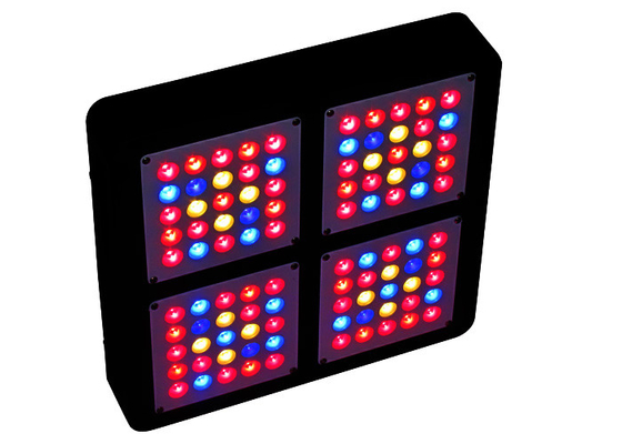 City Growing DIY 300w Led Grow Light Vertical Farming Plants Propagation Vegetative Bloom