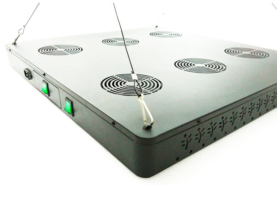 Wireless WIFI Controlled Indoor Marijuana Grow Lighting For Plants VEG Bloom Cultivation