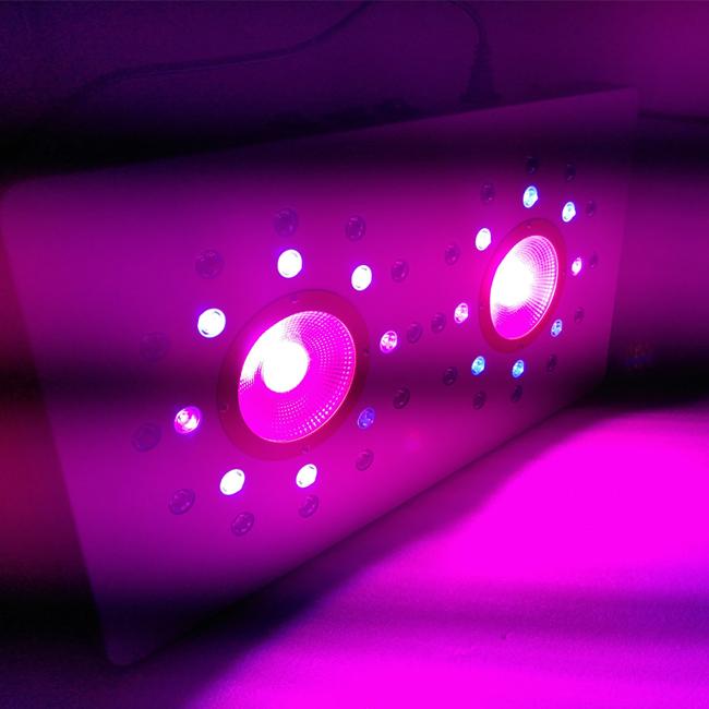 क्लस्टर के लिए 8leds 3ws