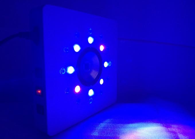 क्लस्टर प्रति 8leds 3w काम कर रहे हैं